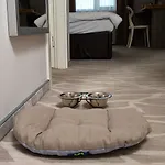 Radisson Centre Odessza